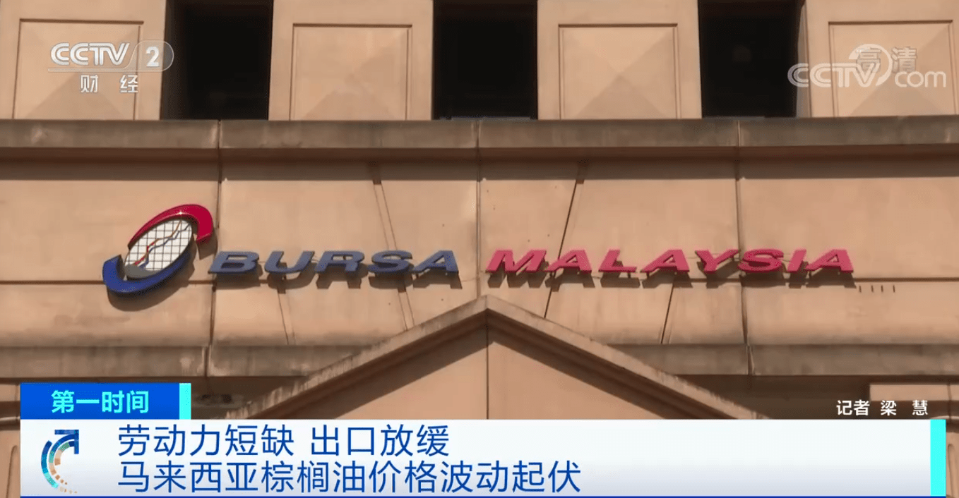 油讯- 棕榈油期货价格创近10年最高，近期波动明显- 导油网—食用油行业网站，服务食用油、油脂产业