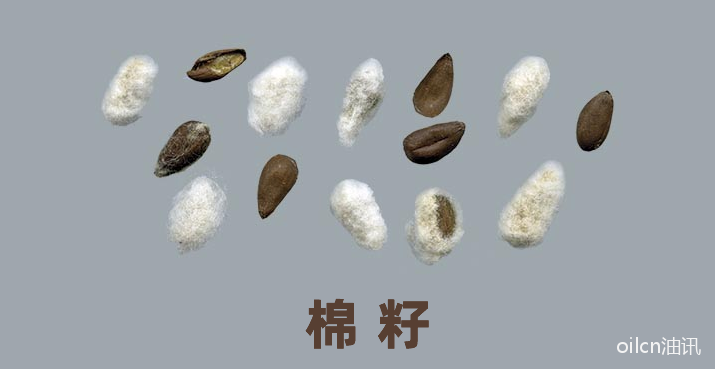 20221016/fa870a439ffb7799e74d6c5266615bb9.png