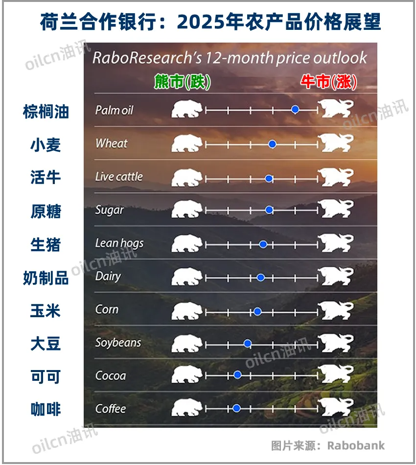 油讯- 2025年粮油食品价格预测：哪些上涨哪些降温？ - 导油网—食用油行业网站，服务食用油、油脂产业