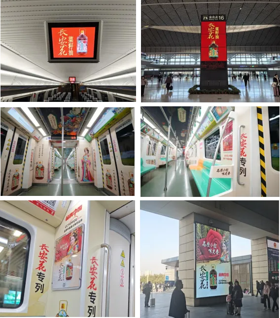 20250205/e5021de7a6ed1bfc7f965b78423e91c6.png