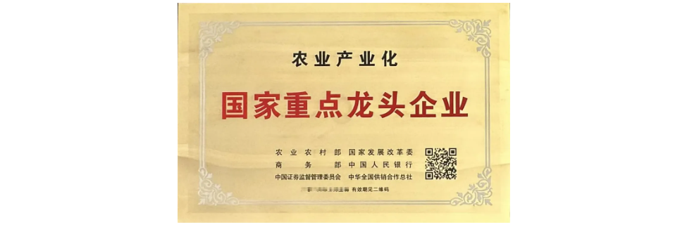 20250609/4fabf915289833c80b8998c4ef46c636.png