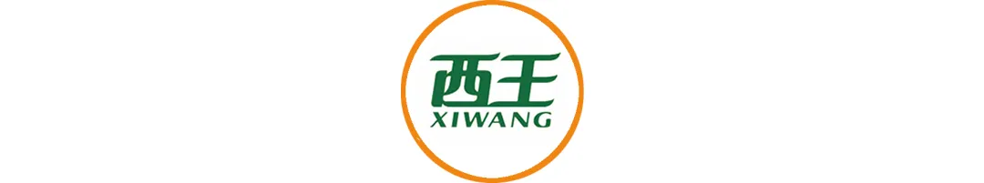 20250618/508403c28afafeed5554c0de4f95b625.png