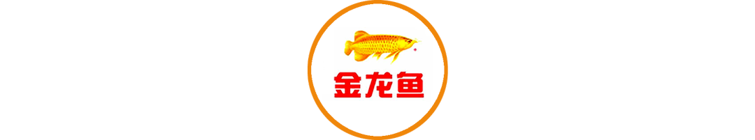 20250618/eb796431e9066438b75c6880a35b297d.png