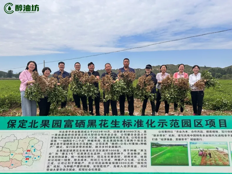 20250731/bcf970710cd7d95184cb05a11b64f8c4.png