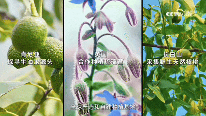 20260508/971d19e4698df3d0a0ec18ad6ecfb100.gif