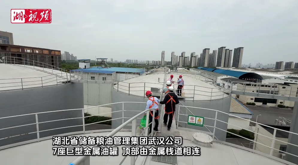 20260512/c43a0df01855c15bf47316551f4ae31e.png
