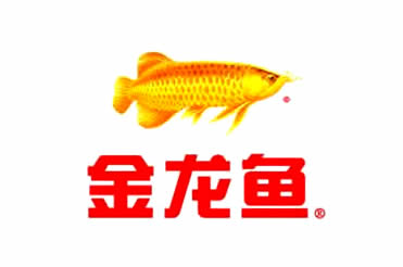 金龍魚玉米油