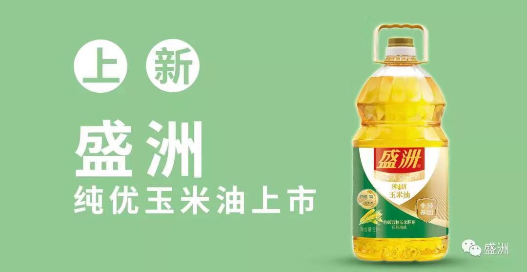 盛洲logo图片