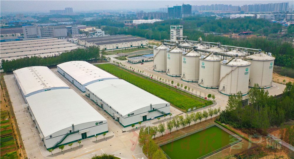 探访中原粮仓之一坐着电梯上粮垛