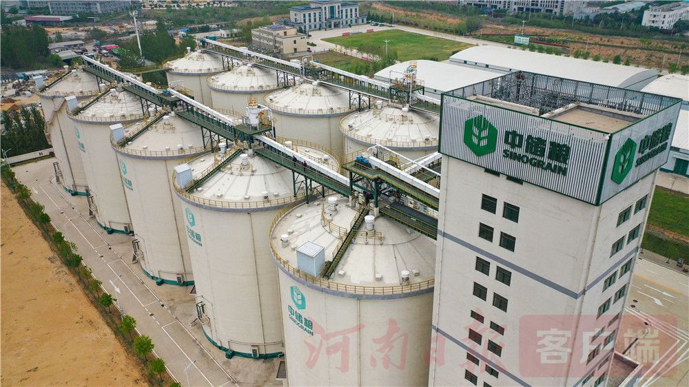 探访中原粮仓之一坐着电梯上粮垛